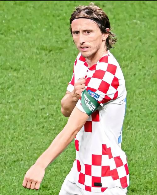 圣地亚哥教士队宣布将扩建球场外的草地看台以容纳更多低票价球迷