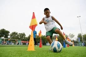 赵继伟最懂杨鸣！CBA表扬+登上辽视春晚，他值得所有的尊重和掌声